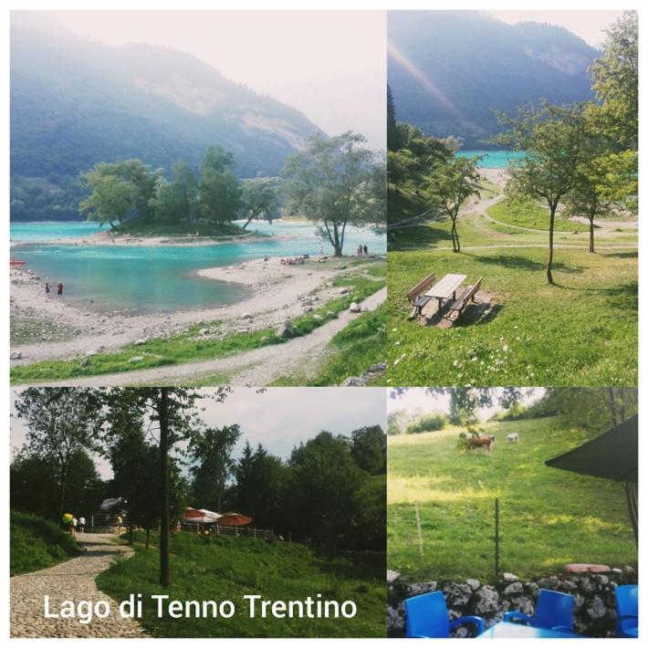 Agritur Cantina Bio Natura Tenno
